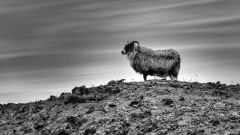 2021-Izland-037