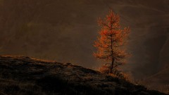 2022-Dolomitok-064