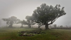 2023-Madeira-001