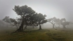 2023-Madeira-002