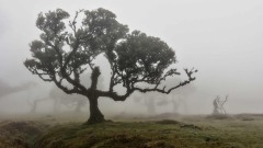 2023-Madeira-003