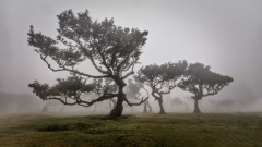 2023-Madeira-004