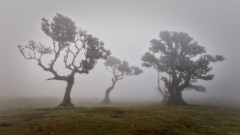 2023-Madeira-005
