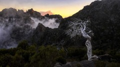 2023-Madeira-008