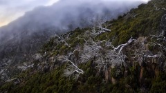 2023-Madeira-009