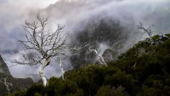 2023-Madeira-010