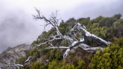 2023-Madeira-011
