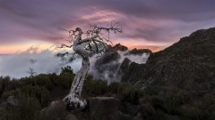 2023-Madeira-020