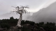 2023-Madeira-021