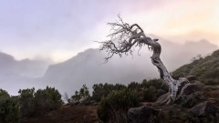 2023-Madeira-022
