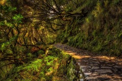 2023-Madeira-034