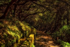 2023-Madeira-035