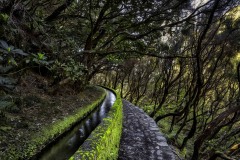 2023-Madeira-036