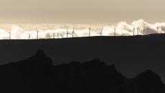 2023-Madeira-046