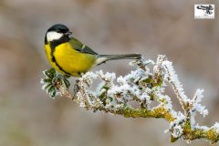 20161207_DS_7168_2_45x30