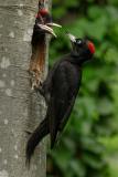 20200513_DS_9416_2000px