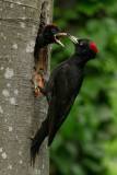 20200513_DS_9450_2000px