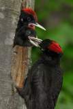 20200513_DS_9530_2000px