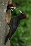 20200513_DS_9537_2000px