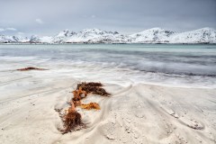 20200220_DS_1899_45x30