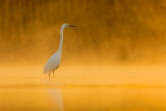 20160403_DS_3918