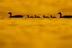 20200427_DS_7094_1