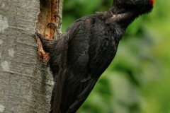 20200510_DS_8695_45x30