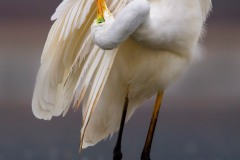 20201019_DS_4966_2