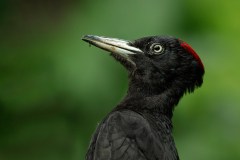 20200511_DS_8891_45x30