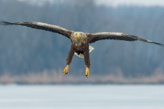 20150108_5D_9569_3